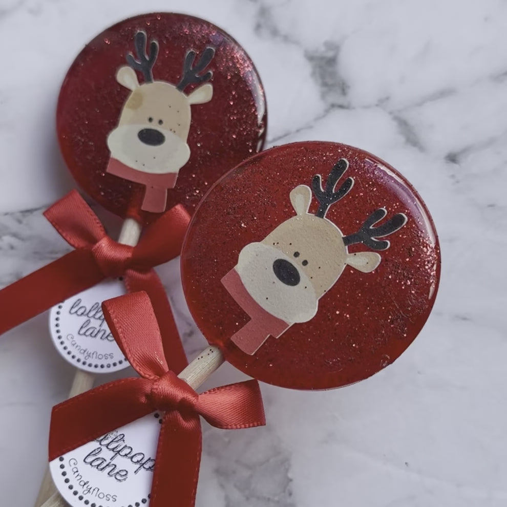 The Rudolph Pops - 2 pack
